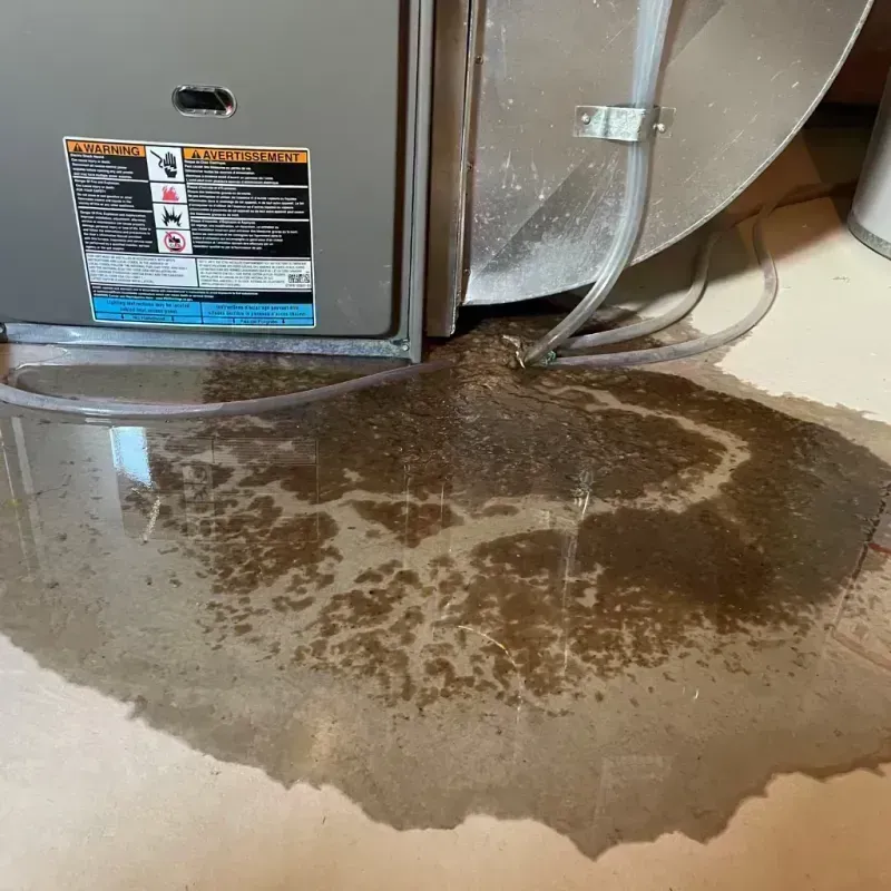 Appliance Leak Cleanup in Sherman, IL